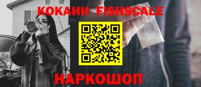 гидропоника Камышлов