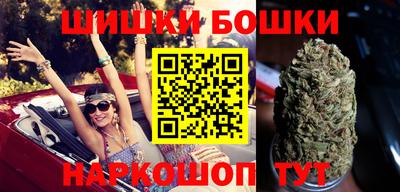 гидропоника Камышлов