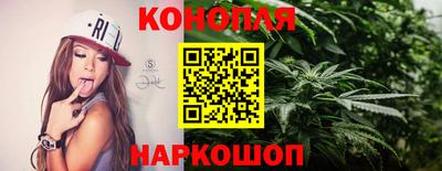 гидропоника Камышлов