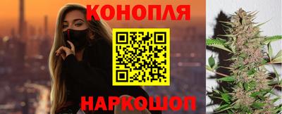 гидропоника Камышлов