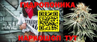 молекула духа Кандалакша