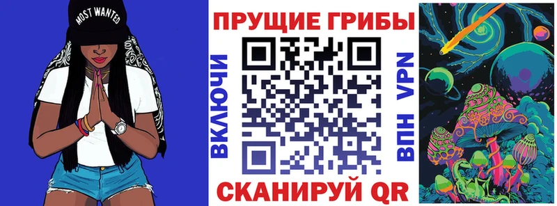 blacksprut зеркало  Кемерово  Галлюциногенные грибы MAGIC MUSHROOMS 