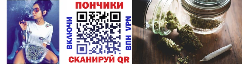 Бошки Шишки Amnesia  Кемерово 